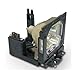 Sanyo PLC-EF60A Assembly Lamp with Quality Projector Bulb Inside
