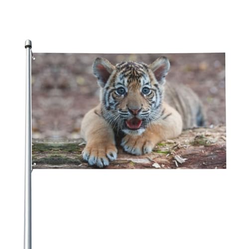 Diverse dimensioni: 180 x 120 cm, 150 x 90 cm, 90 x 60 cm, un bellissimo cucciolo di tigre del Bengala sdraiato nella foresta da giardino è perfetto per venti deboli o decorazione per interni, come in soggiorno, giardino, cortile e così via, per esprimere il tuo orgoglio e profondo amore per il tuo paese!