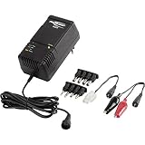 ANSMANN Caricatore pacchi batterie ACS110 NiMH/NiCd 1-10 celle - Caricabatterie pile ricaricabili 1.2-12V - Funzione scarica spegnimento 8 connettori