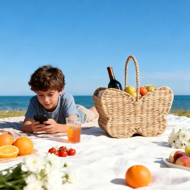 Butterfly Wicker Storage Basket, Natural Water Hyacinth, Handmade Organizer for Toys, Picnics, Home (Butterfly shaped)