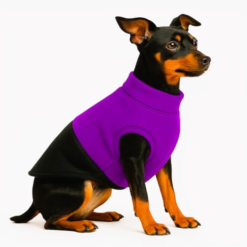Image of The Pets Company Dog Winter Coat Jacket, Clothes, Windproof, Reversible, Light Weight, Washable, Ultra Warm Thick Fleece Lined Dog Vest For Cold Weather Protection, (Purple Black, X - Small - 12 Inch)