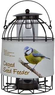 Green Jem Dome Caged Seed Wild Bird Feeder, Designed To Deter Squirrels And Also Larger Garden Birds Such As Pigeons And Doves.