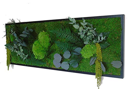 Myvegetal HM Tableau végétal stabilisé 100 x 33 cm sans