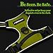 rabbitgoo Dog Harness No Pull with 2 Leash Clips, Adjustable Soft Padded, Reflective Oxford No Choke Pet Vest with Easy Control Handle for Large Dogs, Green, XL
