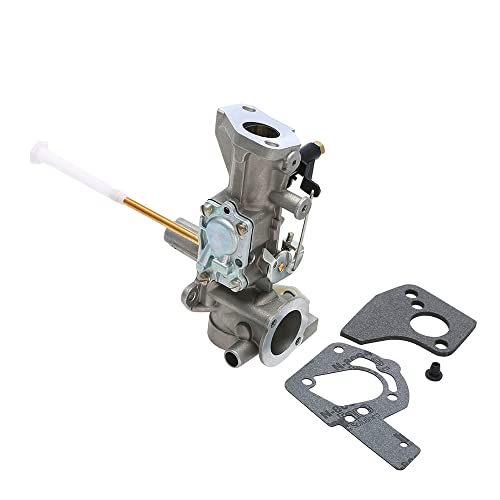 Shkalacar Carburateur pour Briggs & Stratton 498298 495426 692784 495951 W