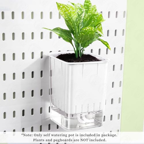 Image of ABOUT SPACE Peg Board Accessories Self Watering Pot - Floating Plant Pot | Indoor Plants Pots for Home, Office, Kitchen, Living Room - Only Planter Flower Pot (White-L 10 x B 10 x H 14 cm) - Large