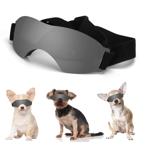 Medium Dog Goggles