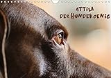 Autor(in): Heike Hultsch Attila, Der Hundekönig (Wandkalender 2021 DIN A4 quer)