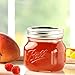 Ball Collection Elite Wide Mount 16Oz Pint Jars (Pack of 4)