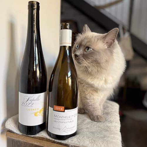 Blindflug 181: ProWein 2026