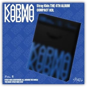 STRAY KIDS KARMA CD コンパクト盤 100枚まとめて 転売可 STRAY KIDS
