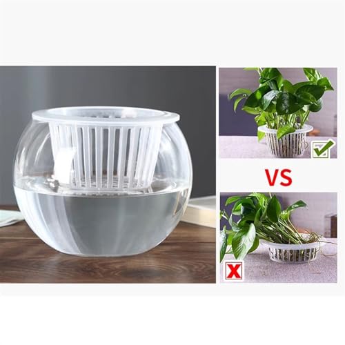 Pot de fleurs vase hydroponique en verre transparent compact - 4
