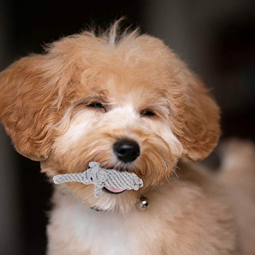 Balacoo Brinquedo de mastigar para cães de 6 peças pequeno médio grande filhote de cachorro brinqued