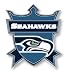 Seattle Seahawks Crest Pin
