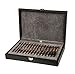 Produktbild Lana Grossa Nadelset Designholz Multicolor NEU