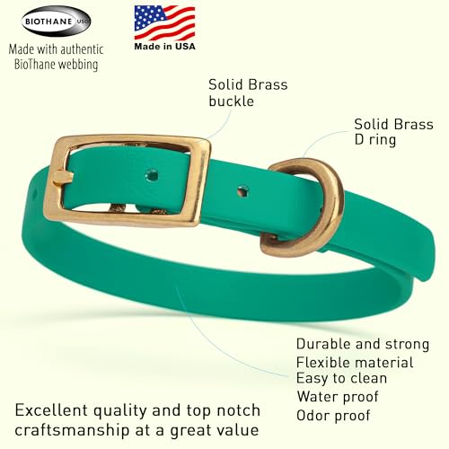 Image of Viper Biothane Heavy Duty Waterproof Dog Collar Strong Coated Nylon Webbing w /Solid Brass Hardware Odor-Proof Easy to Clean High Performance Fits Small Medium or Large Dogs, Teal
