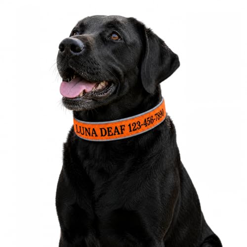 Custom Embroidered Dog Collar Name and Phone Number,