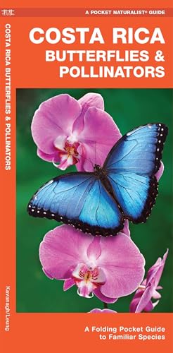 Costa Rica Butterflies & Pollinators (Nature Observation International)
