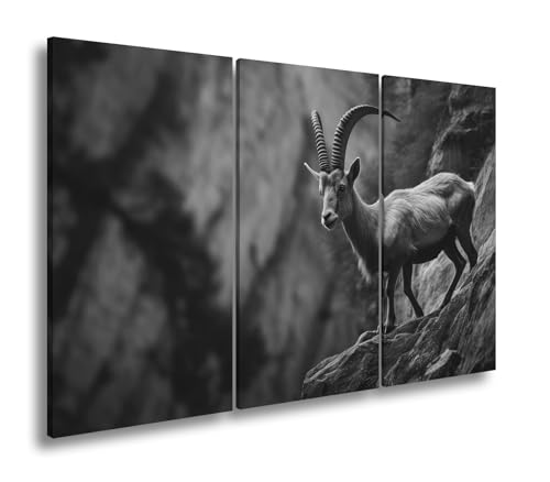 Tableau Capricorne noir et blanc triptyque 120 x 80 cm pour décoration murale grand format salon