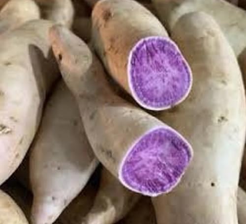 Okinawan Hawaiian Purple Sweet Potatoes - By the Pound (3