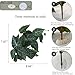 IBWell Fake Reptile Plants for Reptile Terrarium Plants, Reptile Plant Décor, Turtle Tank Plants with Suction Cup