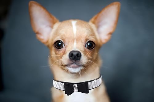 Bowtie Diamante Dog Collar - Image 4