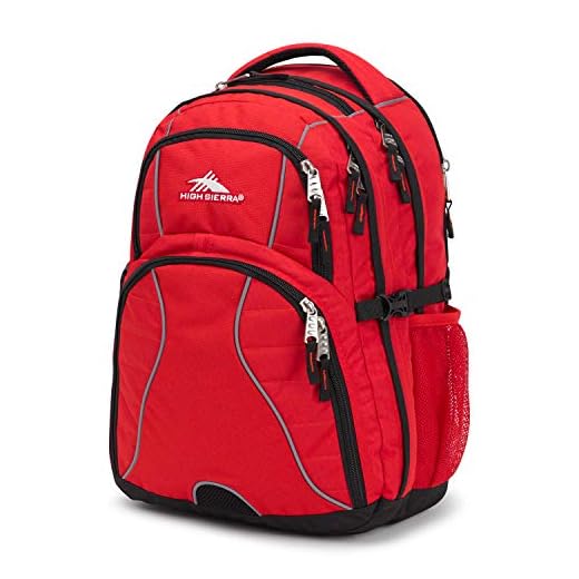 High Sierra Swerve Business Backpack