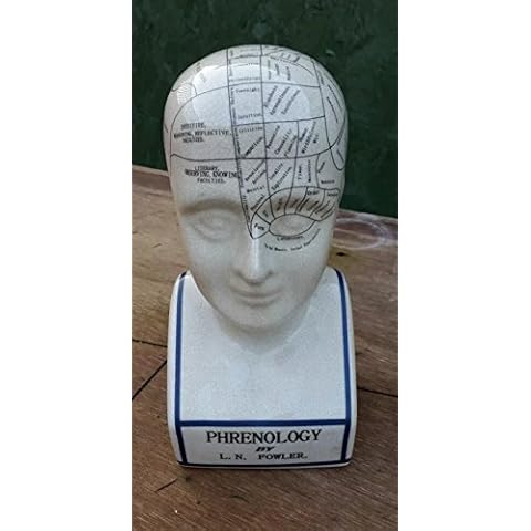 12" Ceramic Phrenology Head Cover