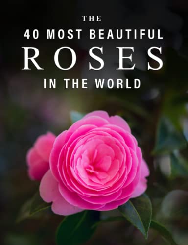 The 40 Most Beautiful Roses in the World: A full color picture book for Seniors with Alzheimer's or Dementia (The "Most Beautiful World" Series)