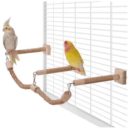 La La Pet [vp[` P[Wp VR X^fBOp[` ݂苴ƃXCO C^NeBû RjA ZLZCCR IJCR uo[h 3Zbg