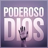  Proveedor