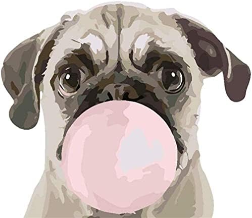 DIY Paint by Numbers Kits, Amiiba Stitch Life, Colorful Flowers and Bubbles 16x20 inch Acrylic Painting by Number Wall Art Crafts (Stitch, Without Frame)
