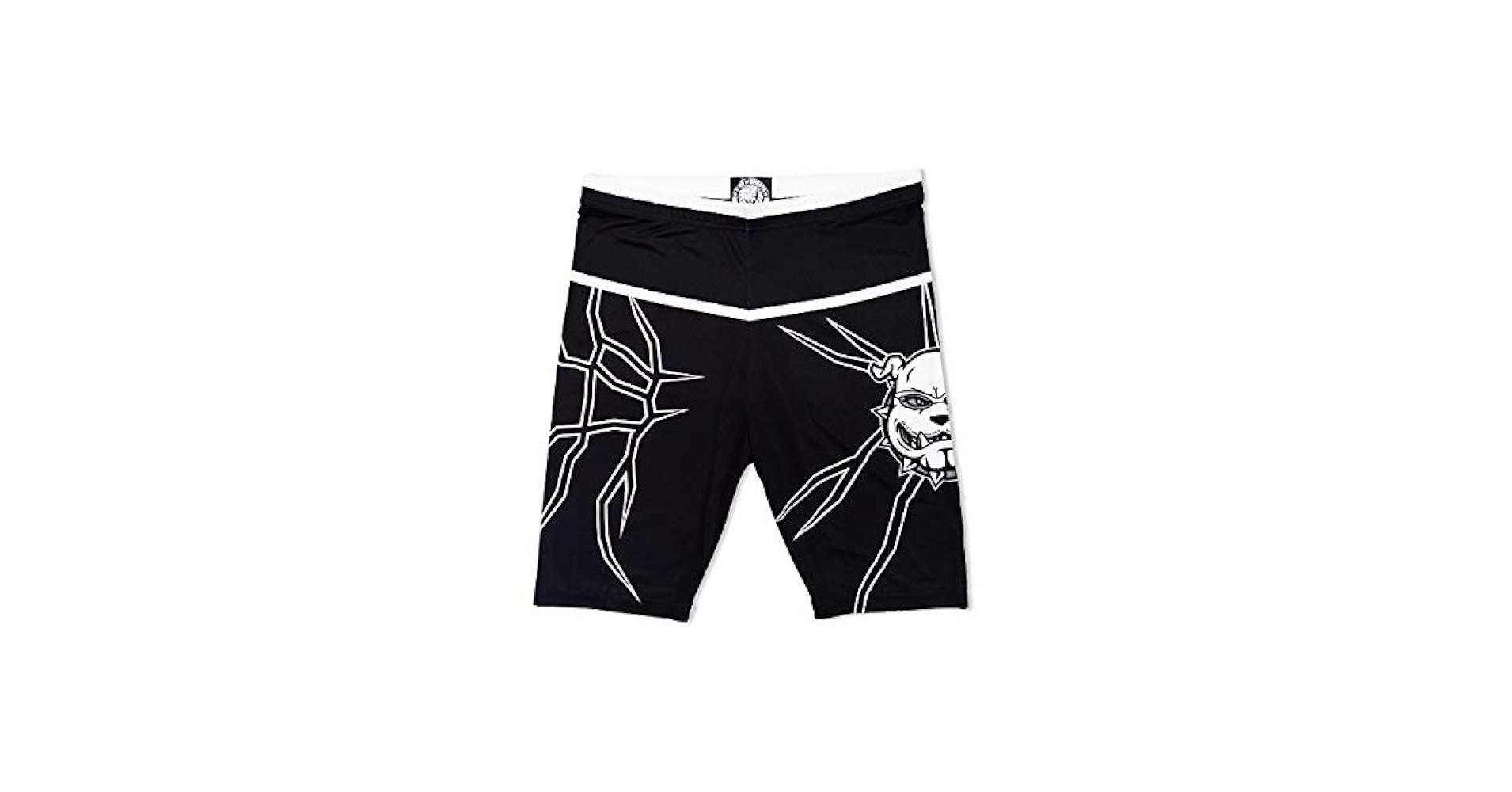 レイドジャパン NYLON SHORTS☆希少品！ Heroes