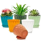 Omtofo 15,4 cm Vaso per fiori in plastica con sottovaso, set da 6 vasi con più fori di drenaggio, vaso rotondo per piante da interno e balcone, per piante grasse e cactus
