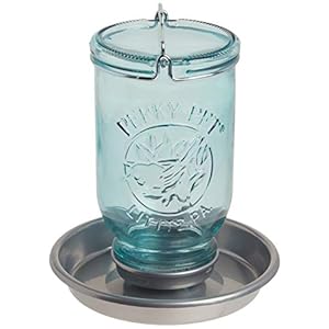 Perky-Pet 1 Mason Jar Wild Bird Waterer 783, Blue