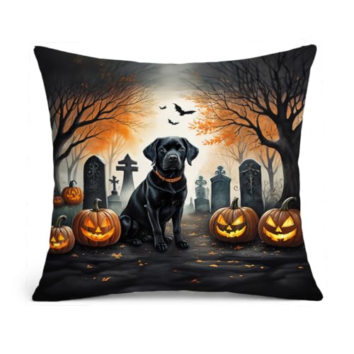 Caroline's Treasures DAC2015PW1414 Black Labrador Retriever Spooky Halloween Fabric Decorative Pillow Machine Washable, Indoor Outdoor Decorative Pillow for Couch, Bed or Patio, 14Hx14W