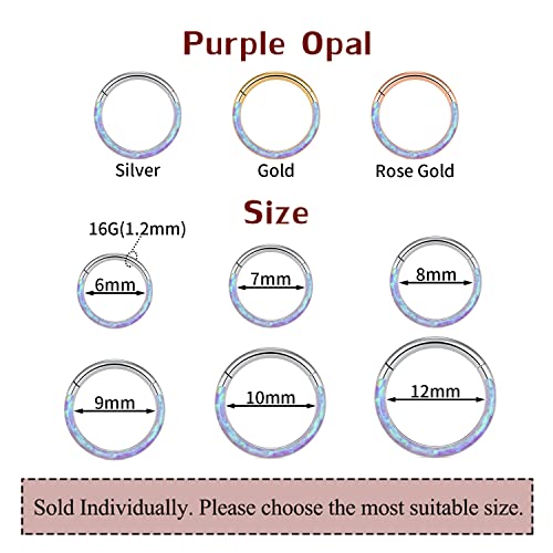 Purple Opal Septum Jewelry 16G Conch Piercing Jewelry Daith Hoops Seamless Higend Segment Nose Ring Silver Septum Clicker Rings Stainless Steel Rook Helix Ring Tragus Cartilage Lobe Earrings 8Mm #TOP1