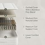 Birch Natural Mattress image 2