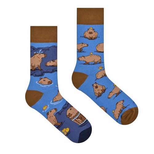 Spox Sox Casual Unisex - multicolores, drôles, fantaisie, originales, rigolotes, coton amusantes chaussettes, 40/43, Capybara