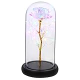 Lumière magnifique : la rose artificielle sous verre est et restera toujours éclatante. romantique