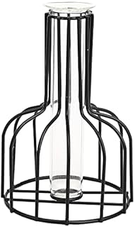 YngFfb Wrought Iron Vase, Black Iron Flower Vase, Geometric Nordic Style Wrought Iron Flower Vase Glass Propagation Station With Metal Frame for Home Office