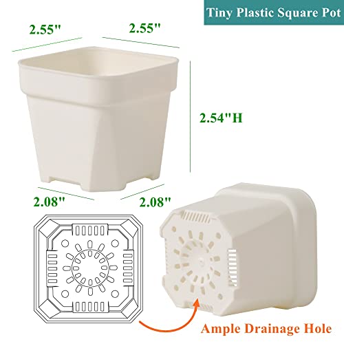 BangQiao 100 Pack 2.55 Inch Small White Plastic Square Nursery Pot by BangQiao - Used condition - Image 2