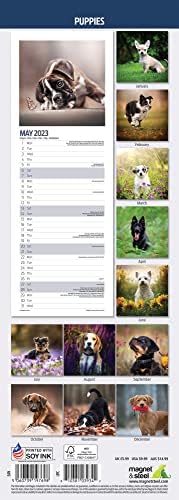 Magnet & Steel 2023 Slim Calendar, Multi-Colour