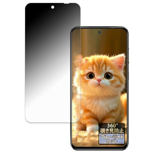 FILMEXT 360�x �`�����h�~ OUKITEL C68 Plus (���C���f�B�X�v���C) �p �ی�t�B���� �u���[���C�g�J�b�g ���˒ጸ ���{��