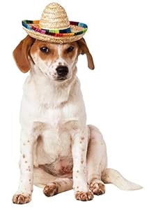 Rubie's Sombrero Hunde Kostüm Klein/Mittel