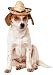 Rubie's Pet Sombrero Hat with Multicolor Trim, Small/Medium