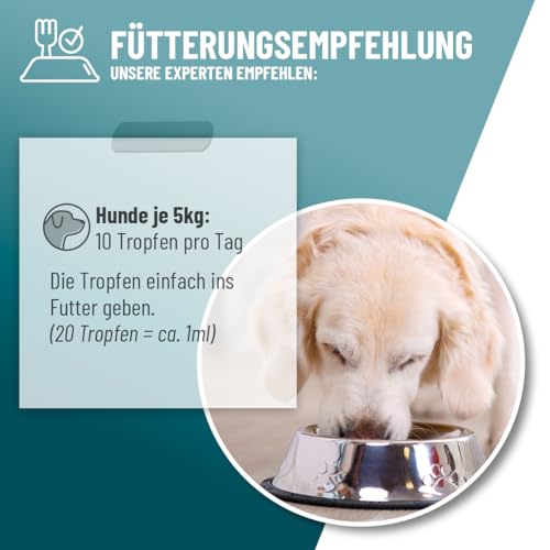 ReaVET Relax Liquid Tropfen für Hunde 100ml - Beruhigung mit Baldrian, L-Tryptophan, Vitamin B12 & Melisse I Beruhigungstropfen Hund bei Silvester, auf Reisen & Autofahrt
