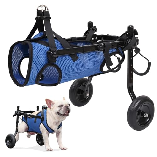 Chariot pour chien handicapé arrière : offrez confort et stabilité à votre petit animal