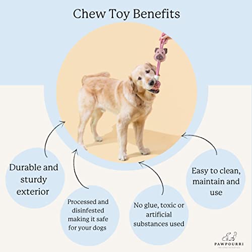 PAWPOURRI Rope & Suede Toy for Adult Dogs Puppies, Cats - Image 3