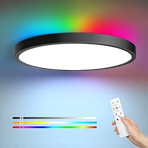 EDISHINE Ceiling Light with Remote Control, 24W+4W RGB Dimmable Ceiling Lamp, 2700K-6000K Bathroom Light for Bedroom…